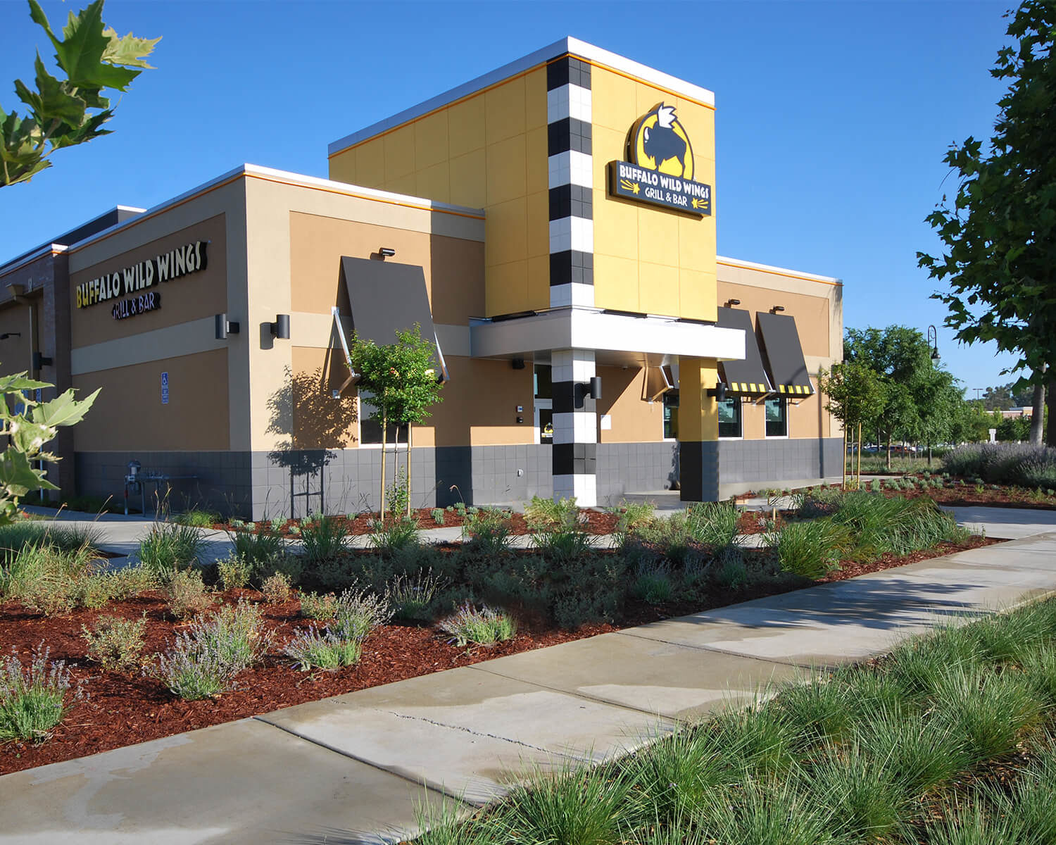 Buffalo Wild Wings